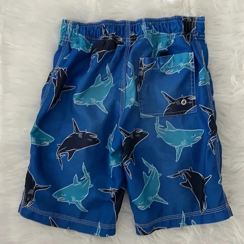 Gymboree this shark